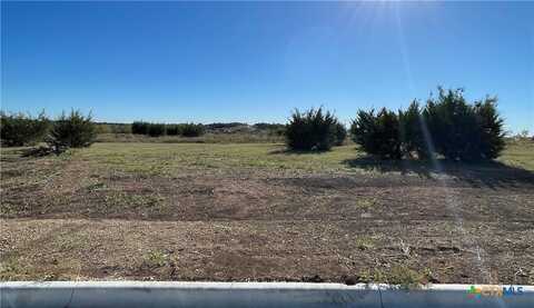 1614 Hunt Drive, Salado, TX 76571