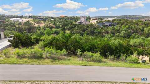 1977 Pinotage, New Braunfels, TX 78132