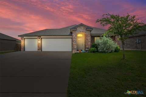 3108 Skinner Drive, Lorena, TX 76655