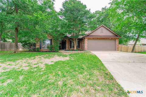 207 Champion Drive, Little River-Academy, TX 76554