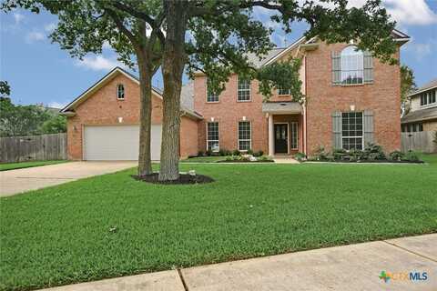 2805 Chatelle Drive, Round Rock, TX 78681