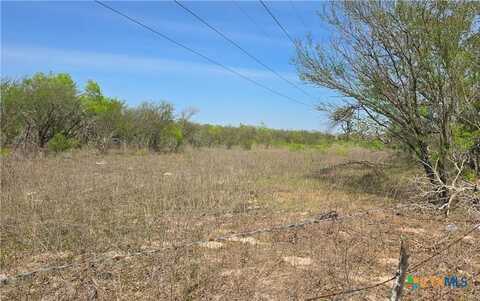 Tbd Spanish Grant Road, Goliad, TX 77963