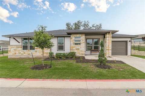 131 Roaming Rock Trail, San Marcos, TX 78666