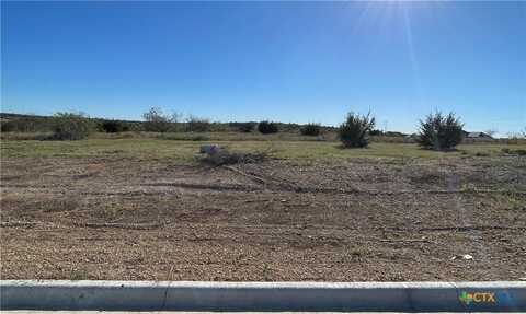 1620 Hunt Drive, Salado, TX 76571