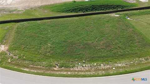 11019 Eagle Walk Boulevard, Salado, TX 76571