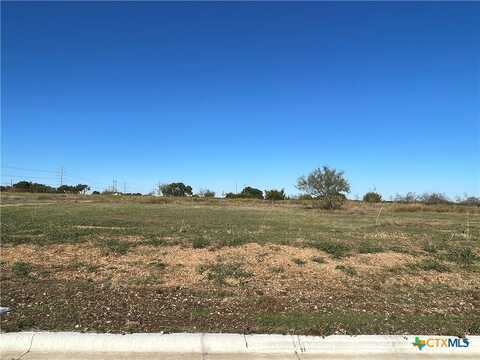 1713 Kellan Drive, Salado, TX 76571