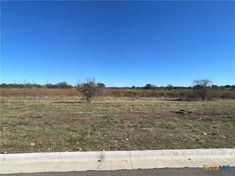 2020 Botts Drive, Salado, TX 76571