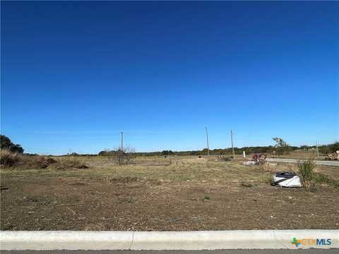 1643 Hunt Drive, Salado, TX 76571