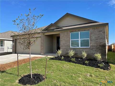 414 Fairy Duster Drive, New Braunfels, TX 78130