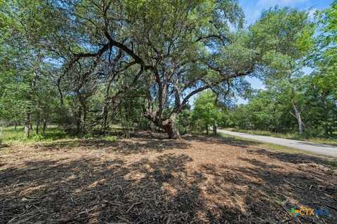 240 Caney Creek Road, New Braunfels, TX 78130
