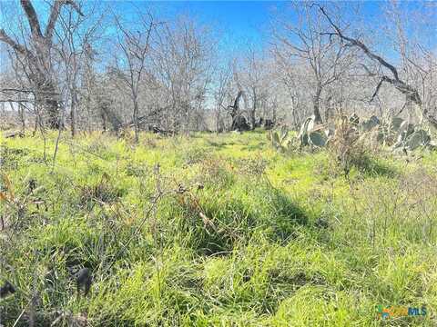 5912 Tenney Creek Road, Luling, TX 78648