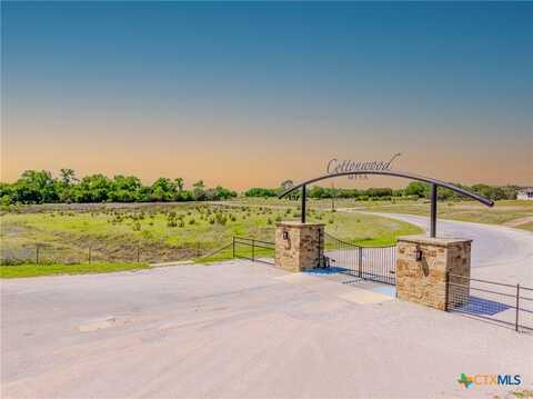 1517 Cottonwood Mesa Drive, Kempner, TX 76539