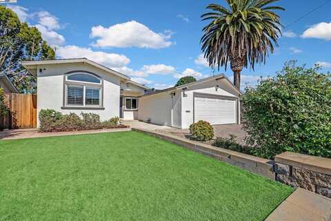 44840 Camellia Dr, Fremont, CA 94539