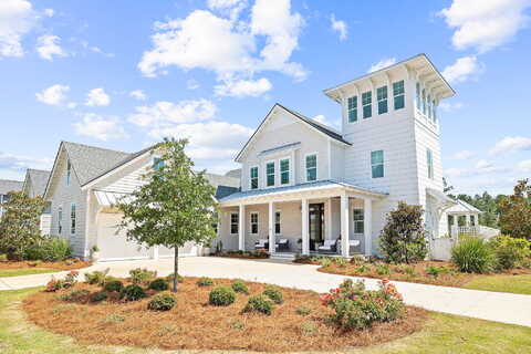 Needle Cast, INLET BEACH, FL 32461