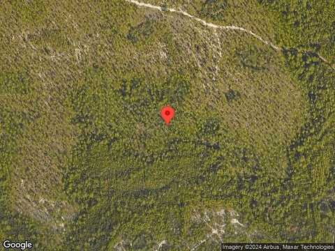 Sawbuck, INLET BEACH, FL 32461