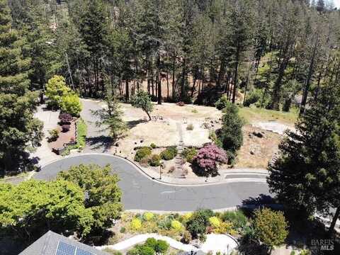 3829 Moss Hollow Court, Santa Rosa, CA 95404