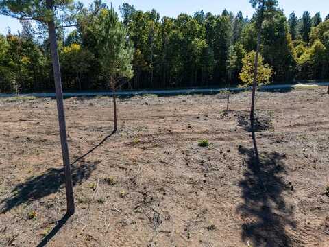 1.08 AC Millville Road, Lawrenceville, VA 23868
