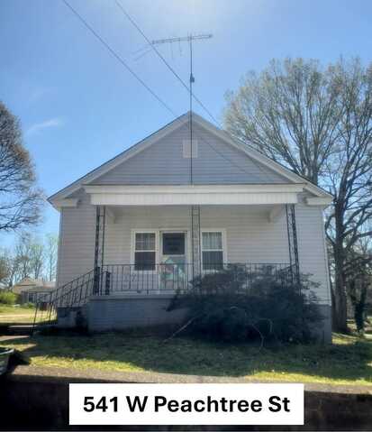 541 W Peachtree Street, Woodruff, SC 29388