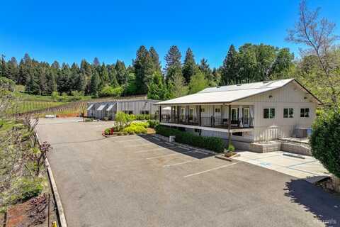 2875 Larsen Drive, Camino, CA 95709