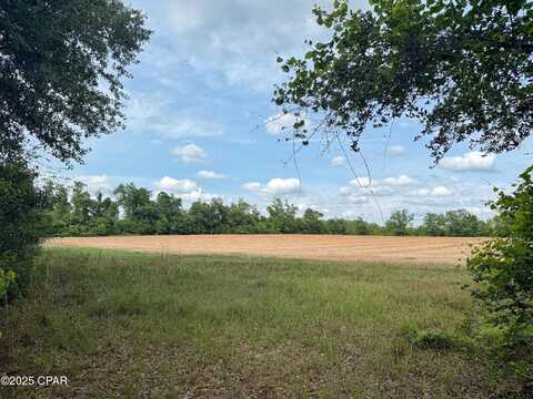 00 Delta Lane, Marianna, FL 32448