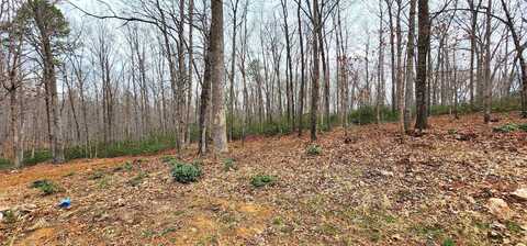 168 DUNCAN LN, Afton, VA 22920