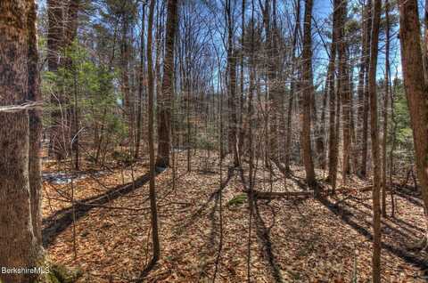 0 Tyringham Rd, Otis, MA 01253