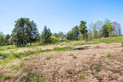 Tbd Riverview Rd., Ivanhoe, VA 24350