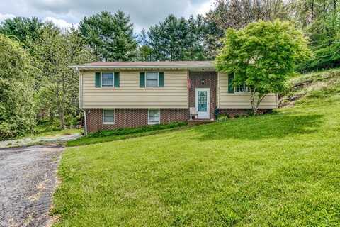 811 Anderson Ave, Marion, VA 24354