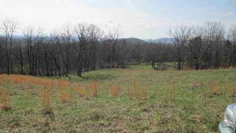 Tbd Forest Ridge, Independence, VA 24348
