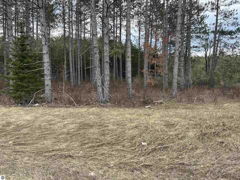6234 NE US-131 N, Kalkaska, MI 49646