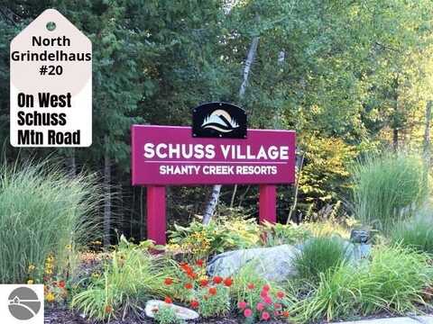 20 W Schuss Mountain Drive, Bellaire, MI 49615
