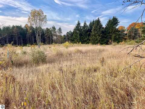 Parcel A1 E Kasson Road, Maple City, MI 49664