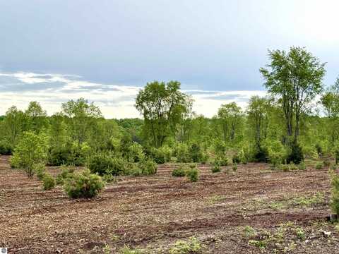 Parcel A8 S Bright Road, Maple City, MI 49664