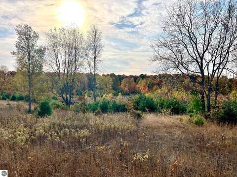 Parcel A8 S Bright Road, Maple City, MI 49664