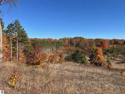 Parcel A3 E Kasson Road, Maple City, MI 49664