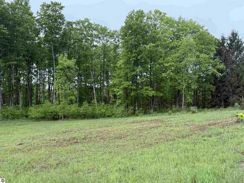 Parcel A6 S Bright Road, Maple City, MI 49664