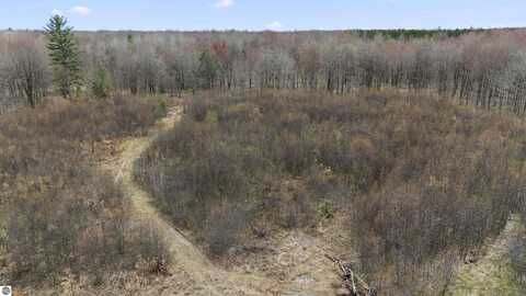 Parcel A E 32 Road, Cadillac, MI 49601