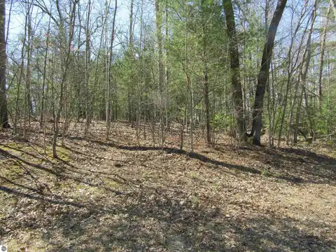 00_VL Onondaga Trail, West Branch, MI 48661