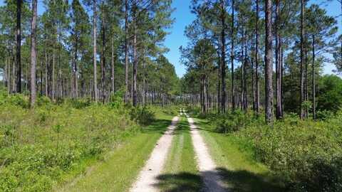 4761 Hadley Ferry Road (428+/- Acres), Cairo, GA 39828