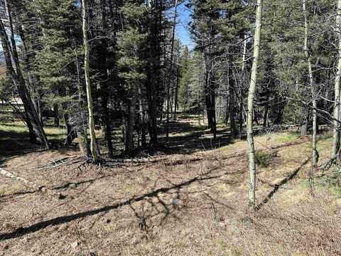 1451 El Camino Real, Angel Fire, NM 87710