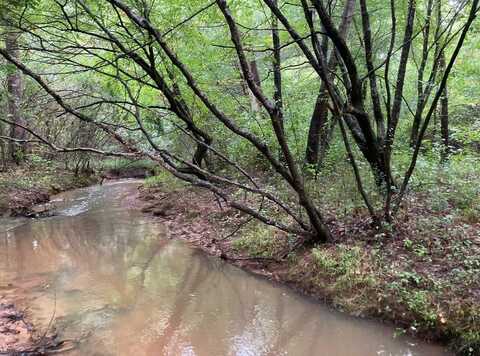 DIAMOND ISLAND, Savannah, TN 38372