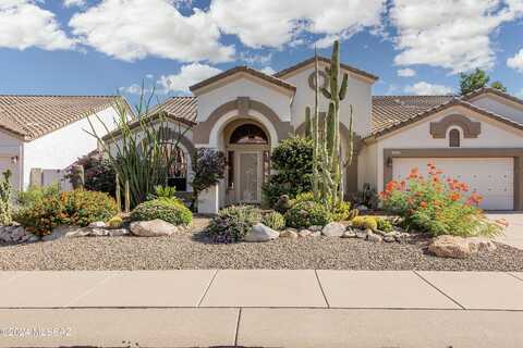 246 W Geeseman Springs Drive, Oro Valley, AZ 85755