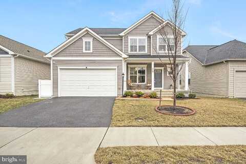 Interlace, STEPHENSON, VA 22656