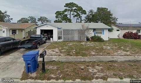 Bigelow, HOLIDAY, FL 34691
