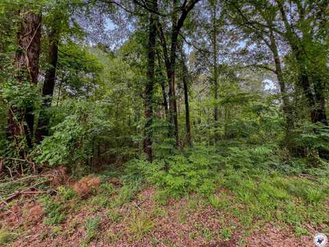 TBD Rhine Ave, Texarkana, TX 75503