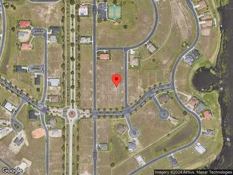 Fringe Tree, LAKE ALFRED, FL 33850
