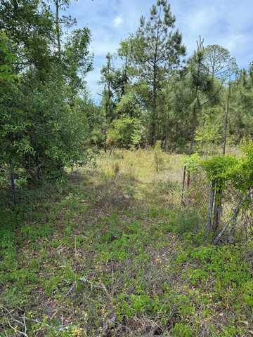 3345 E US 27 Highway, Perry, FL 32347