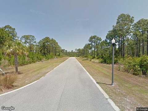 Turtle, PORT SAINT JOE, FL 32456