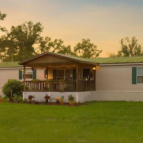 289 SE Candlestick Trail, Lee, FL 32059