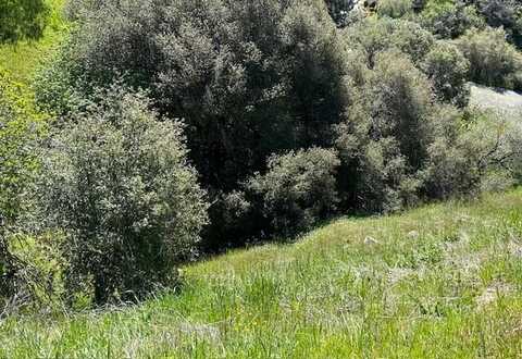 27 & 28 Capanero Oaks Court, California Hot Springs, CA 93207